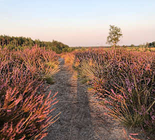 Wandern Bad Bevensen