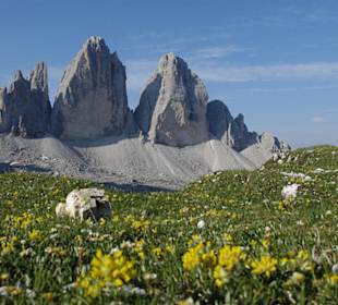 Aktivitäten - Attivitá - Activities