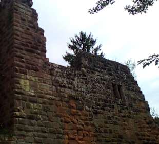 Burg Wilenstein in Trippstadt