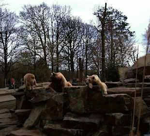 Zoo Münster - Die Tiere