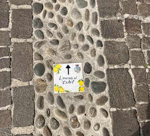 Zitronengewächshaus