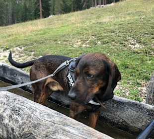 Wandern Valdaora / Olang
