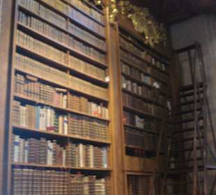 Bücherregale des Prunksaals 