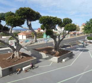 Markthalle Puerto de la Cruz