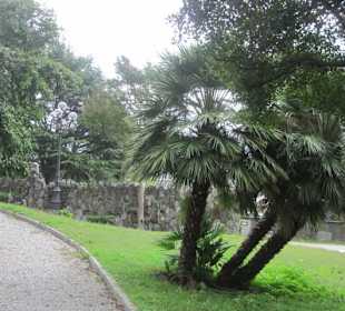 Altstadt Domaso Villa Camilla