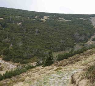 Berg Schneekoppe/Śnieżka