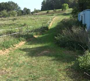 Wanderung zur Burgruine Liebenau