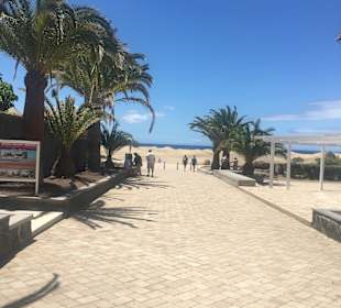 Dünen von Maspalomas