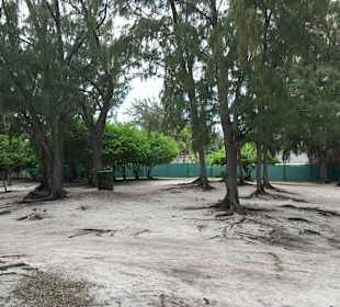 Nachbarstrand der öffentlich ist