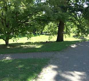 Schlosspark Hohenheim