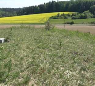 Premiumwanderweg Hochgehschätzt