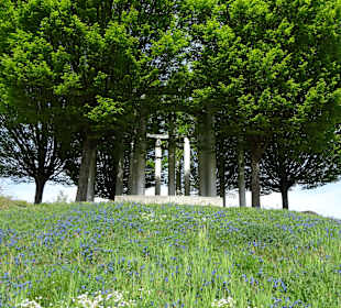 Garten Hohenheim
