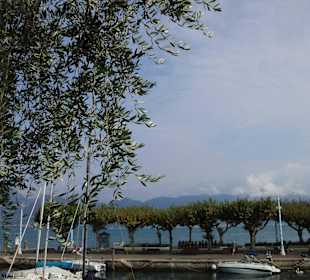 Torri del Benaco