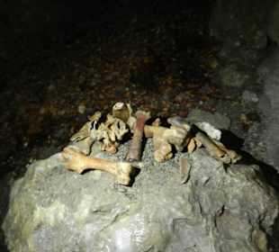 Charlottenhöhle - Knochen 