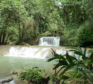 YS Falls