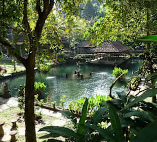 Goldfischteich im Pura Gunung Kawi