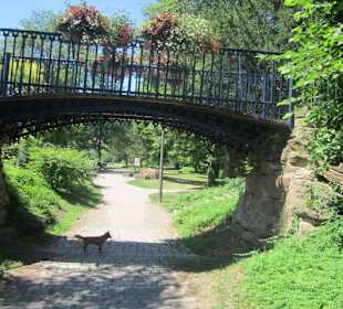 Niederbronn les Bains