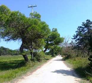 Fuß-/Radweg Naturschutz