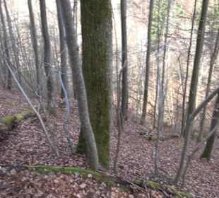 Wolfsschlucht