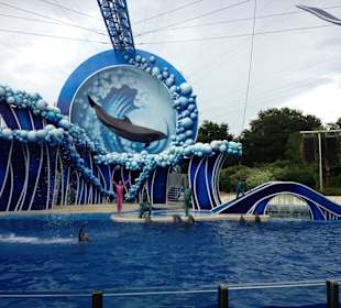 Sea World 