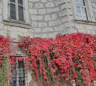 Am Haupthaus Herbst pur