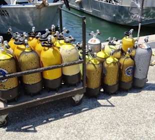 Eindrücke vom Rundgang durch Port Argelès