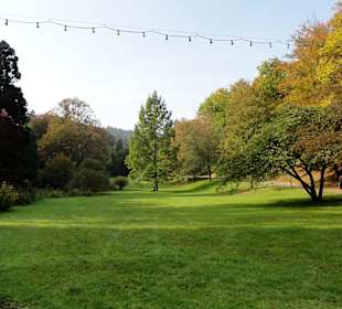 Impressionen aus dem Kurpark