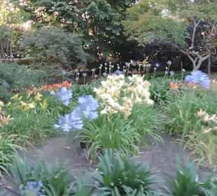 Real Jardín Botánico de Madrid