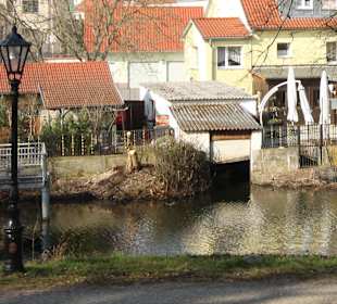 Idylle an der Spree in Beeskow