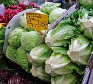 Rundgang durch die Markthalle San Benedetto