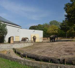 Zoo