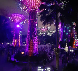 Gardens by the Bay
