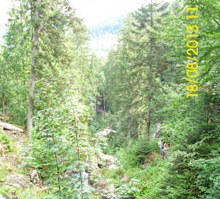 Die Wasserfälle von Triberg