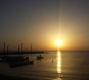 Sonnenaufgang bei der Delfine Tour