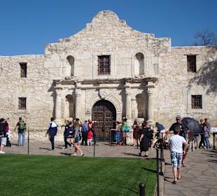 Alamo ist sehr beliebt