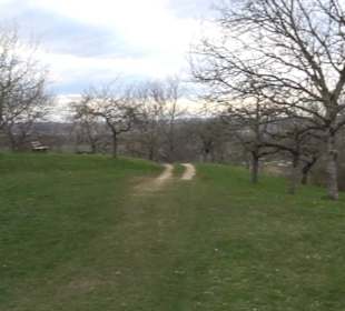 Der Grafenberg