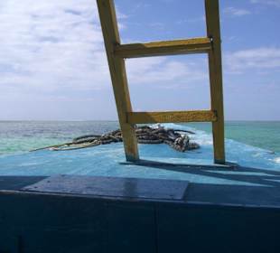 Ausflug Glasbodenboot Diani Beach