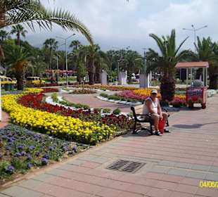 Schöne Grünanlagen