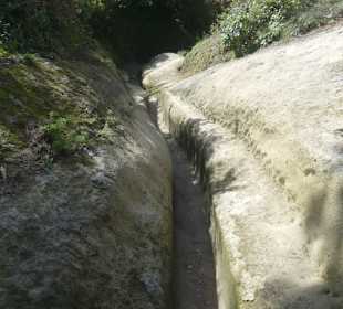 So sieht der Weg im oberen Teil aus.