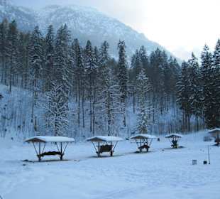 Wildfütterung im Grasswangtal