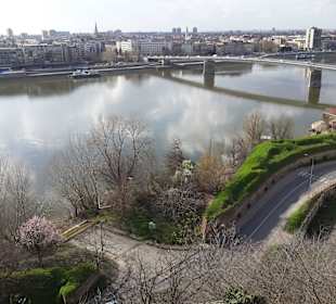 Stare Miasto Novi Sad