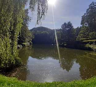 Paddelsee in Hauenstein