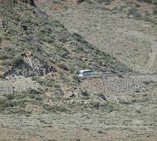 Nationalpark --> Teide