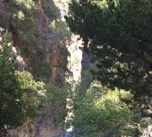 Faszinierende Samaria Schlucht