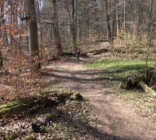 Geologischer Lehrpfad Kirnbachtal