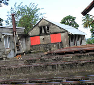 Plantation Dougaldston Estate