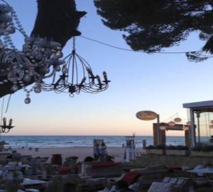 La Vida Paguera Restaurant