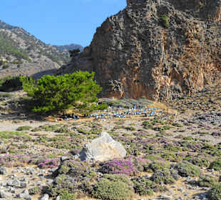 Rund um Agia Roumeli