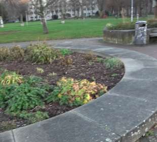 Wasserspiele Stadtgarten