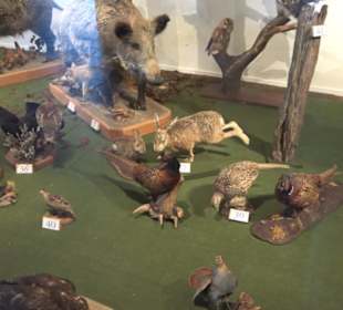 Natur- und Jagdmuseum